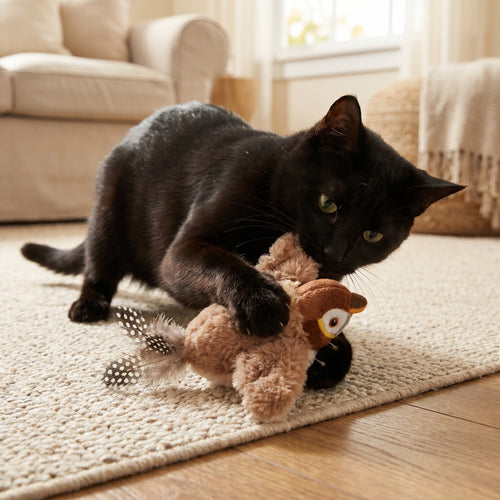 Interactive Cat Toy Bird