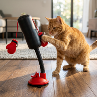 Cat Boxing Bag